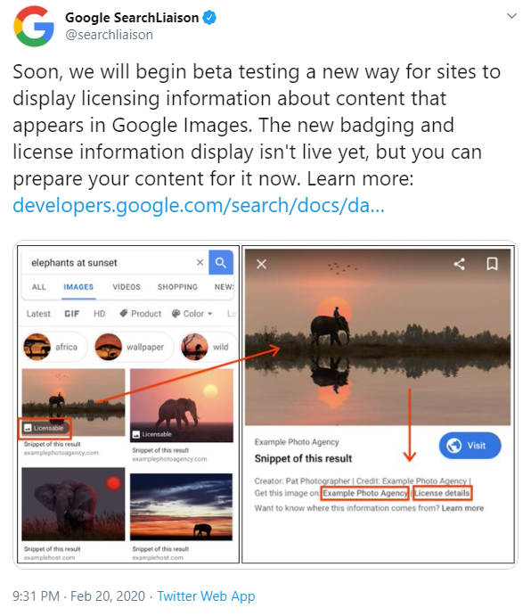 גוגל מודיעים על בחינה של תצוגת רישיון השימוש בתמונות בחיפוש